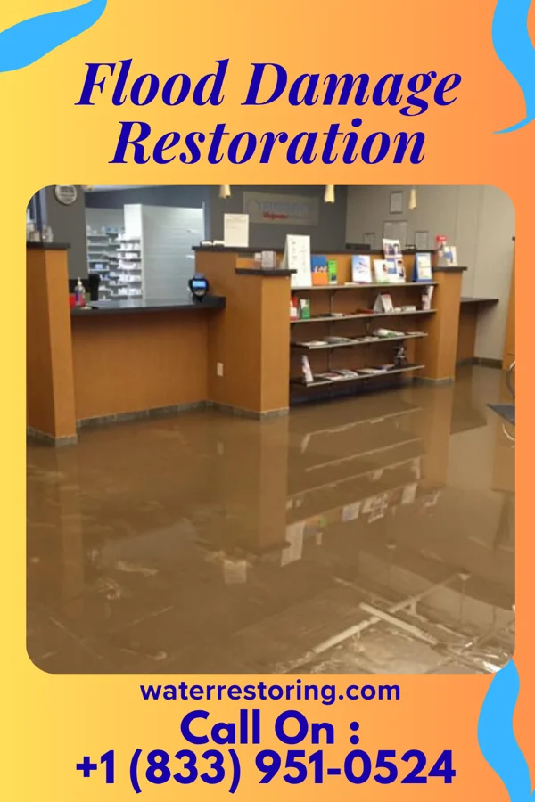 Flood Damage Restoration in Columbia Heights, MN