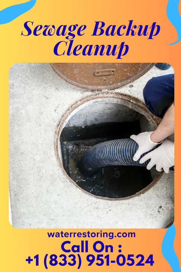 Sewage Backup Cleanup in Columbia Heights, MN